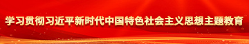 淫,大鸡巴操逼抠逼视频学习贯彻习近平新时代中国特色社会主义思想主题教育